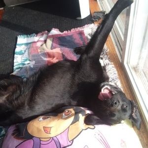 Meet your Posher, Kim